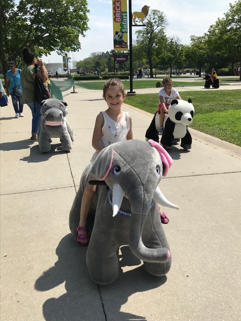 Guest enjoying an elephant animal ride