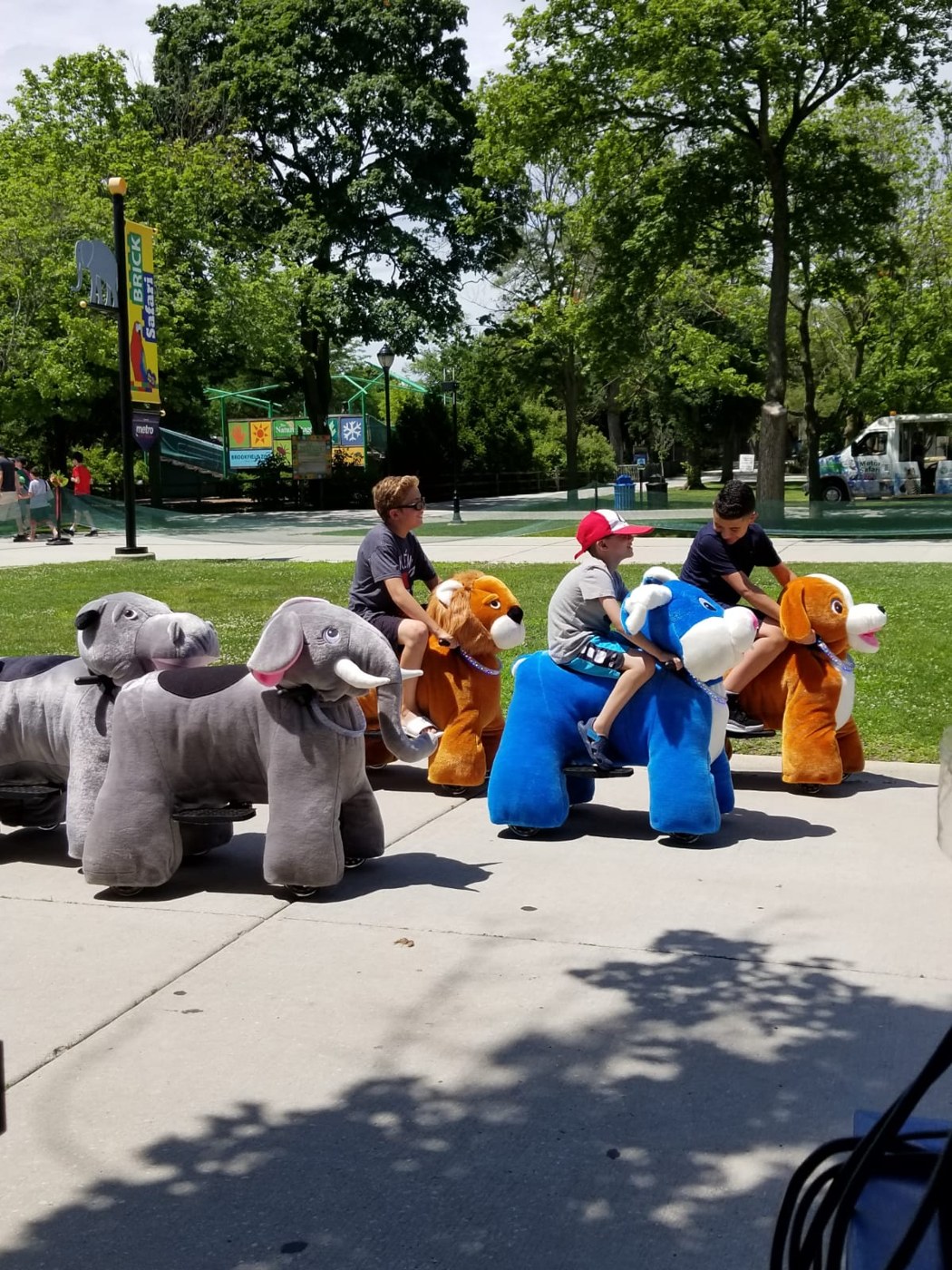 Animal rides lined up outdoors